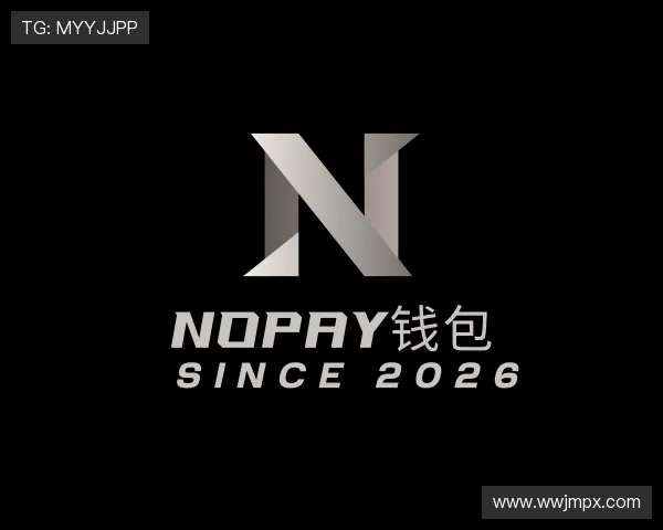 关于NOPAY钱包